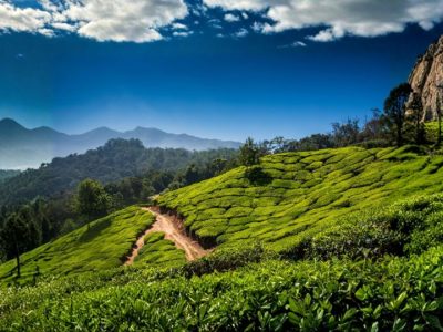 Tea Museum Munnar
