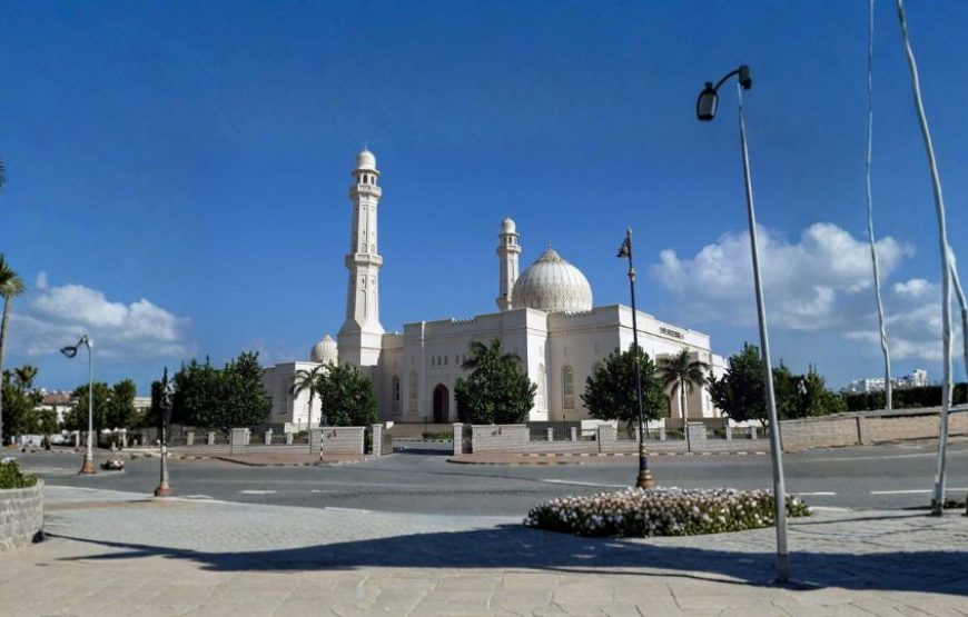 Doha Adventure Trail – Qatar Tour Package