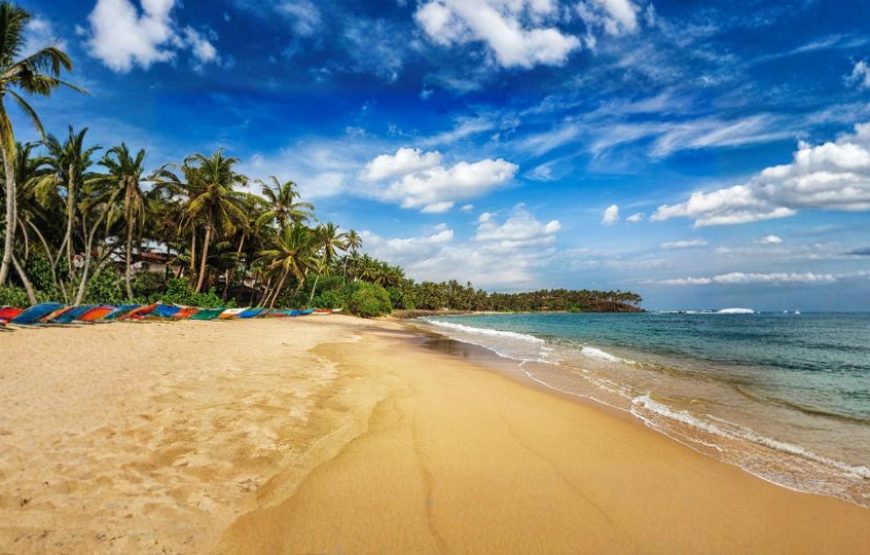 Splendours of Sri Lanka