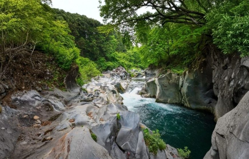 Majestic Japan – 10 Nights / 11 Days Ultimate Japan Experience