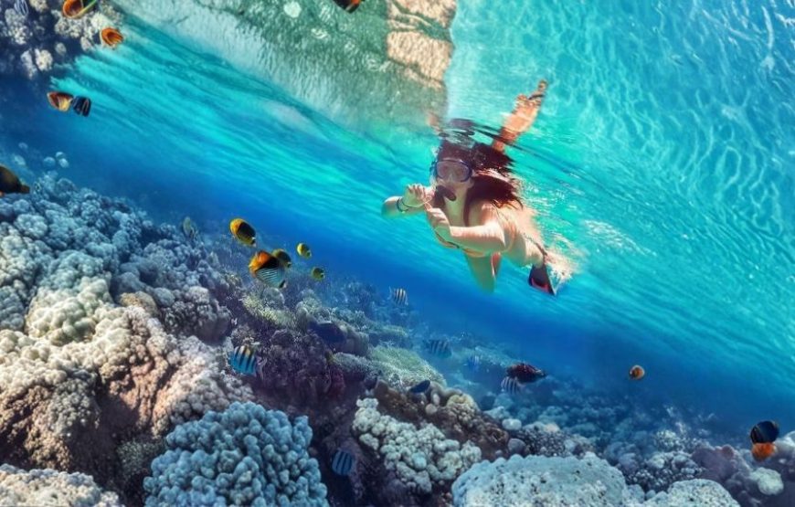 Centara Machchafushi Lagoon – Maldives Escape