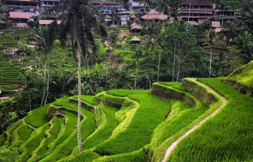 8N Bali Buzz Package