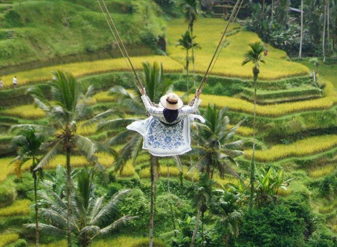 Luwak Coffee, Bali Swings