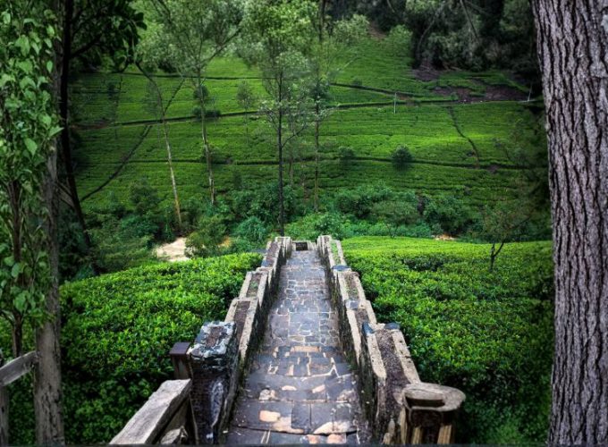 Sri Lanka Ramayana Trails