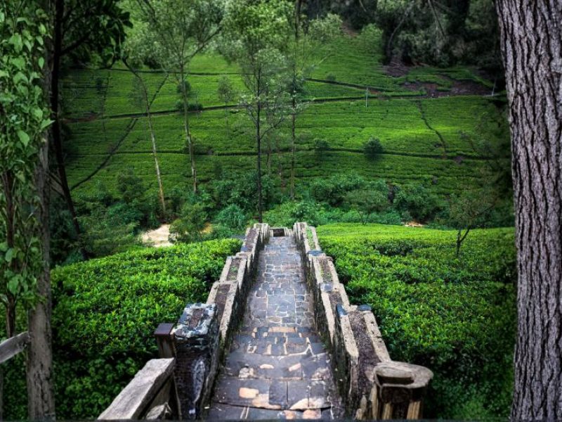Sri Lanka Ramayana Trails
