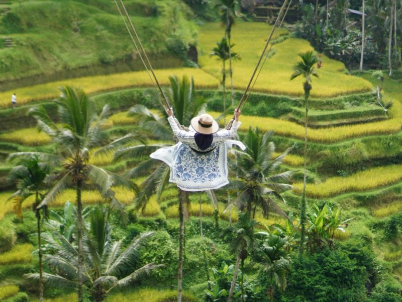 Luwak Coffee, Bali Swings