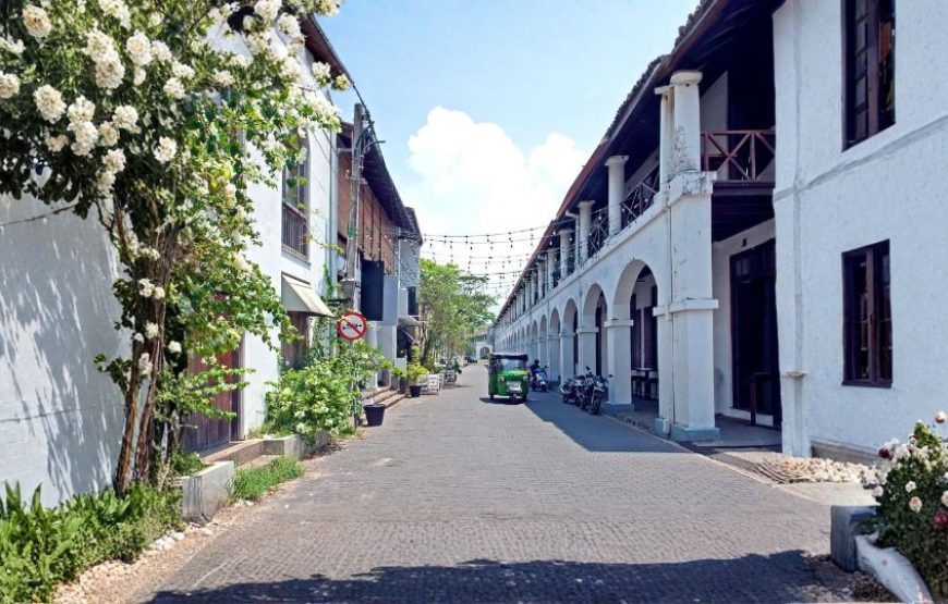 Splendours of Sri Lanka