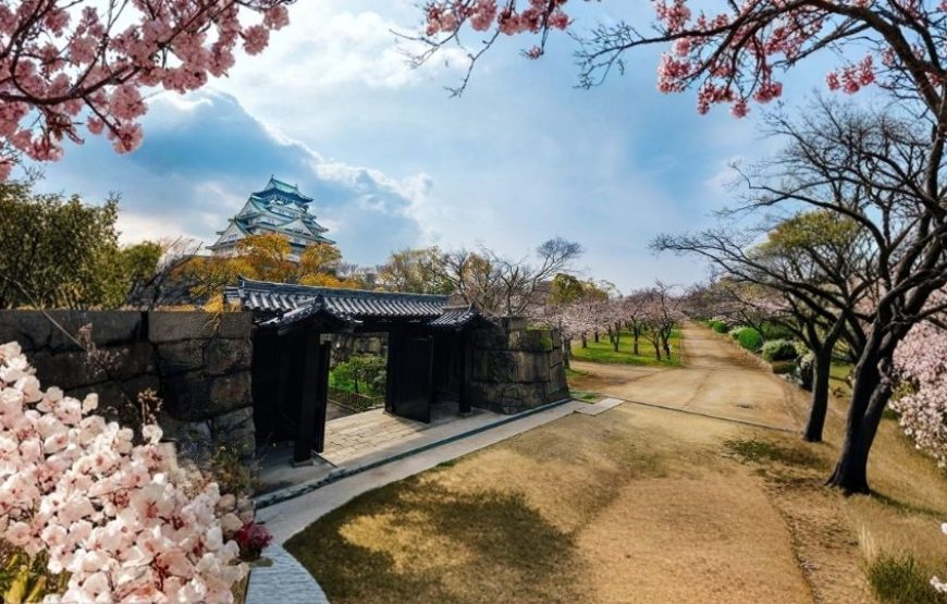 Futuristic Japan Tour Package – Tokyo, Hakone & Osaka | 7 Nights / 8 Days