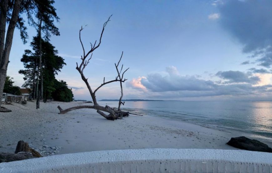 Smart Saver Andaman Package – 3 Nights / 4 Days Tropical Escape
