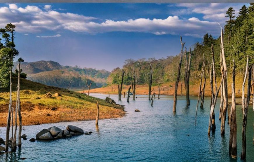 Couple’s Paradise Kerala – 3 Nights / 4 Days