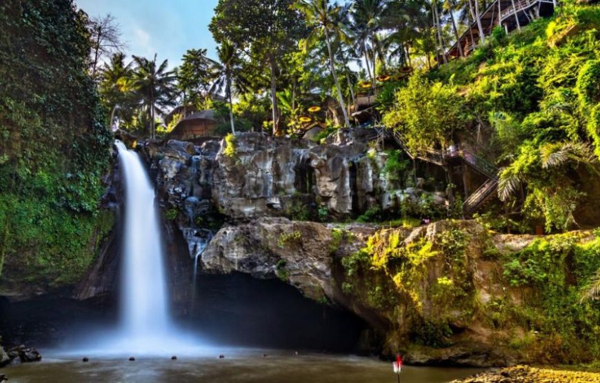 8N Bali Buzz Package