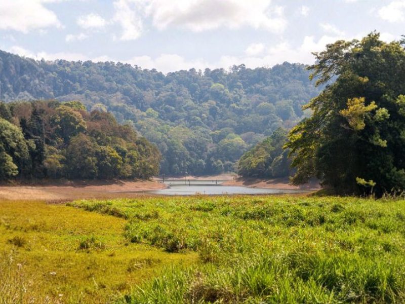 Tranquil Waters of Kerala