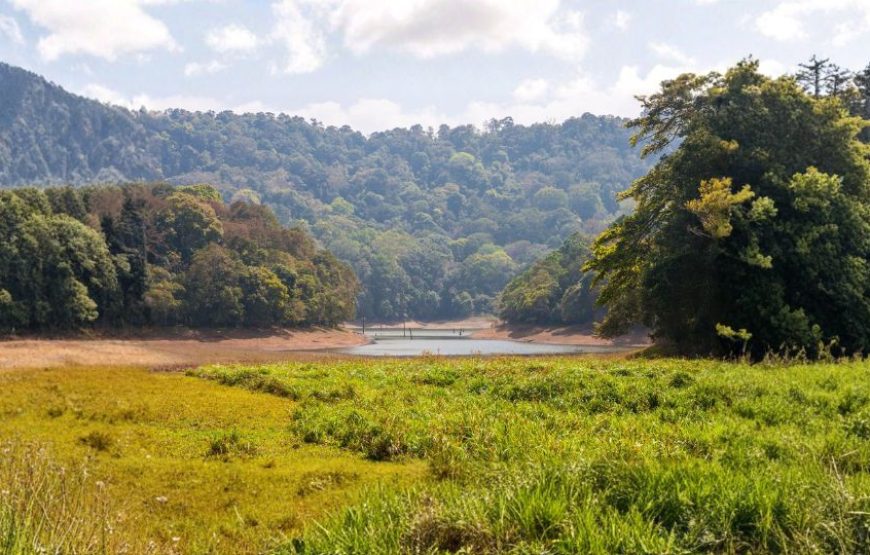 Couple’s Paradise Kerala – 3 Nights / 4 Days