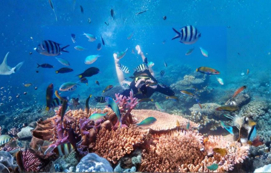 SERENE ANDAMAN – 3N/4D ISLAND ESCAPE