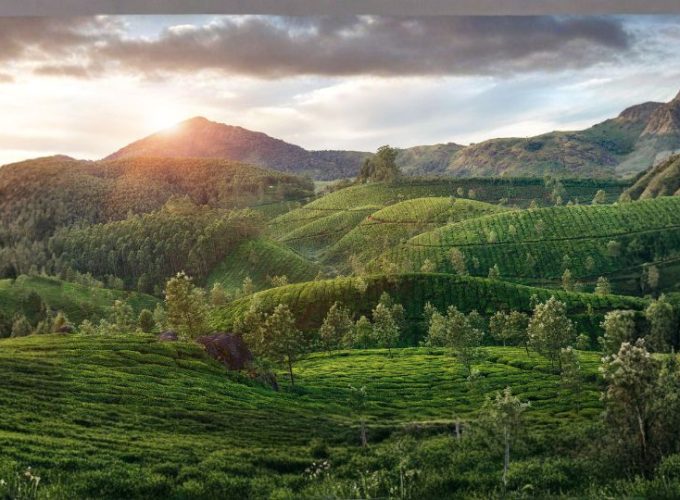 Serene Kerala Holidays