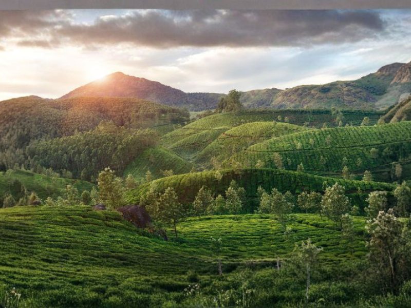 Serene Kerala Holidays