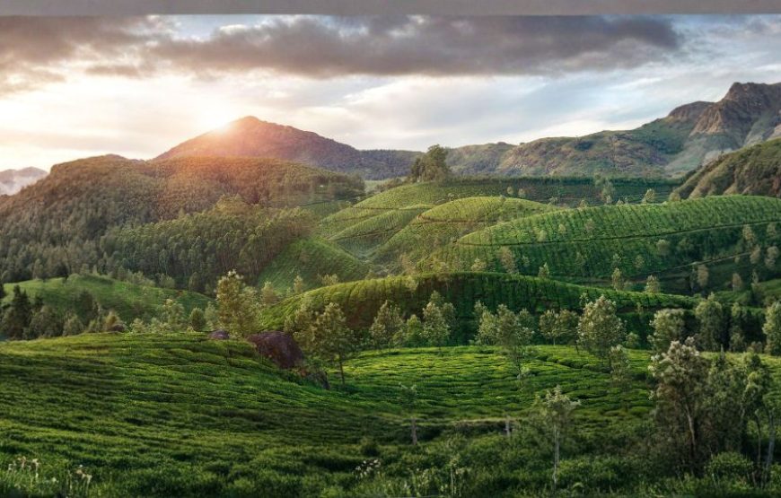 Dreamy Kerala Tour Package (3 Nights / 4 Days)