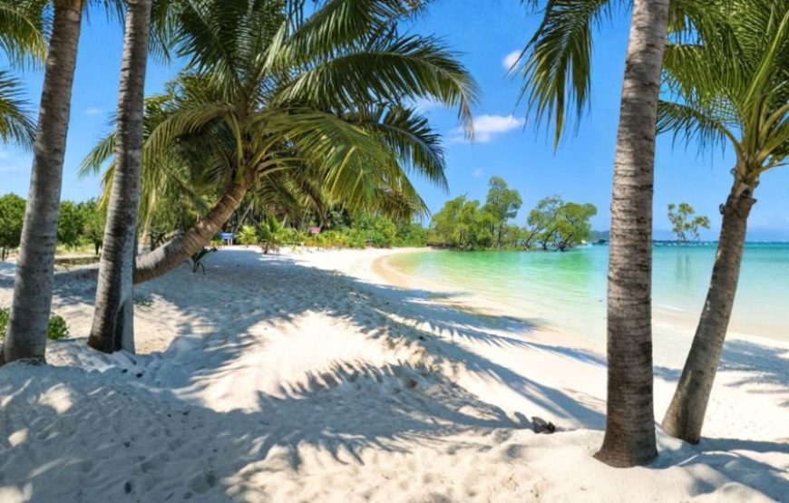 Dive into Andaman