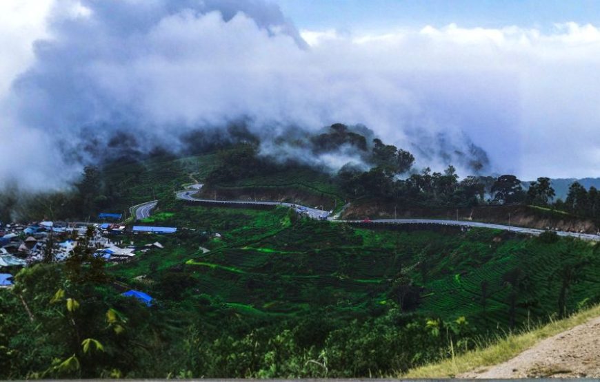 Nature’s Lap – Kerala Special