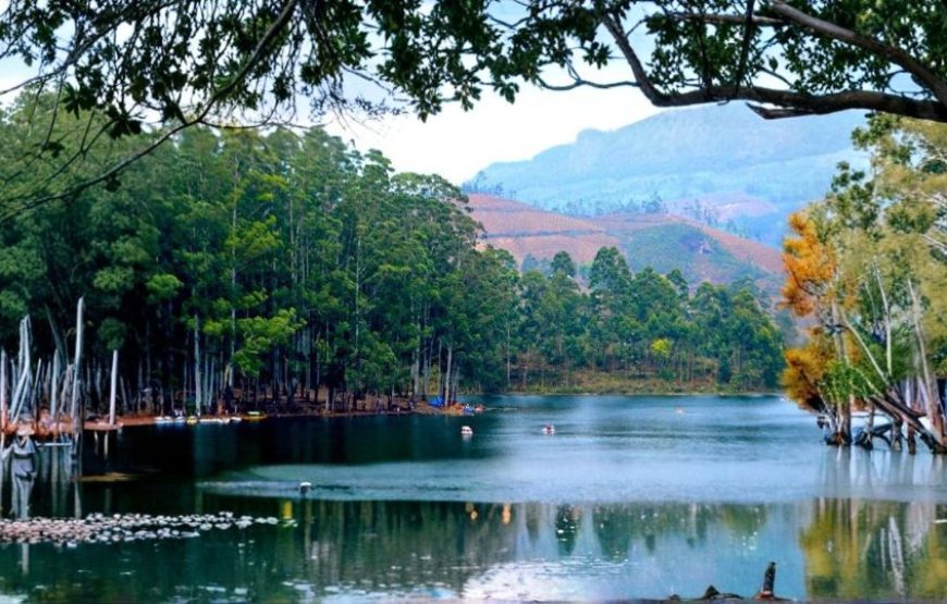 Amazing Kerala Escape