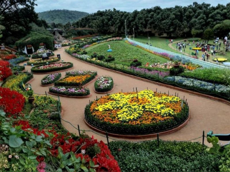 Honeymoon Trip to South India – Mysore, Coorg & Ooty Escape