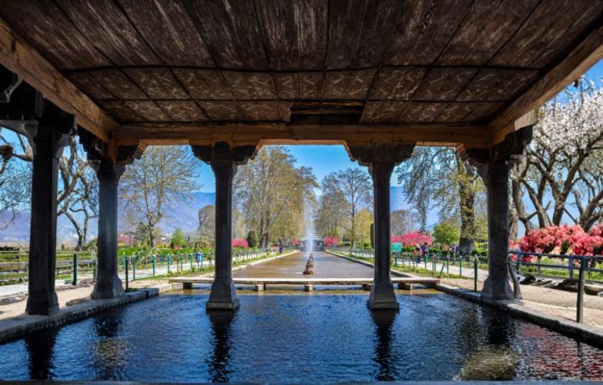 Kashmir Nature Break