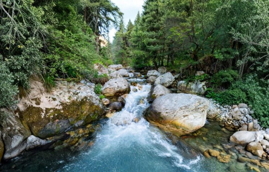 Spectacular Himachal Special