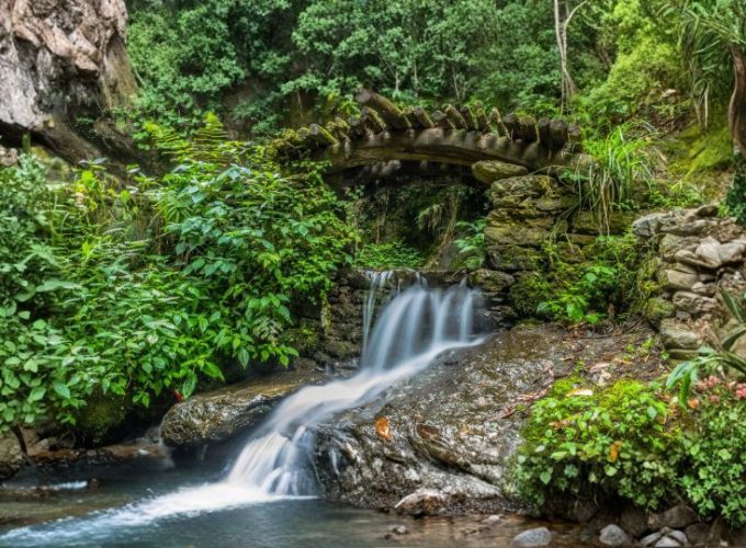 Honeymoon in Himachal Pradesh (6N/7D Tour Package)