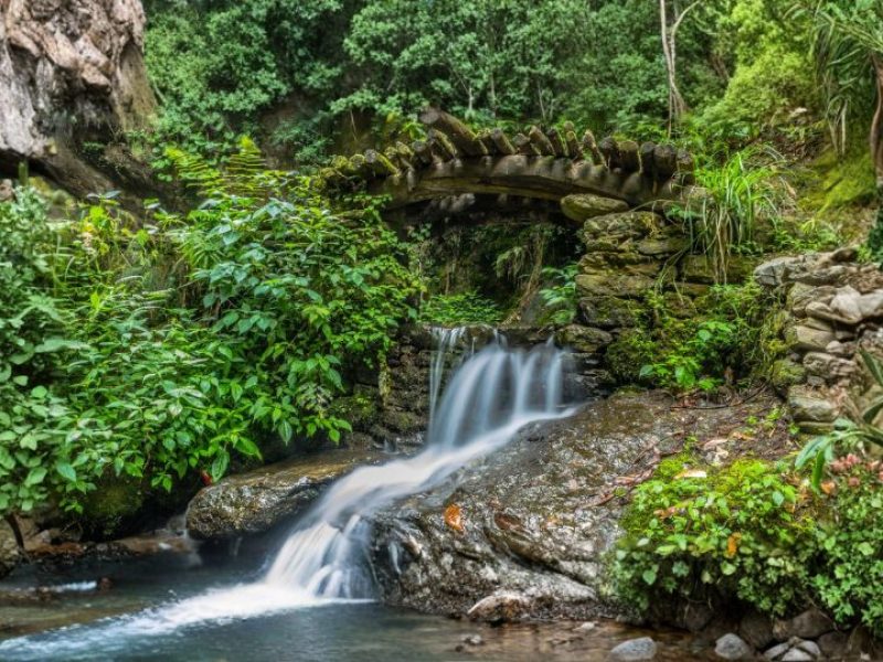 Honeymoon in Himachal Pradesh (6N/7D Tour Package)