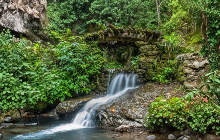 Himachal Dreamland Escape