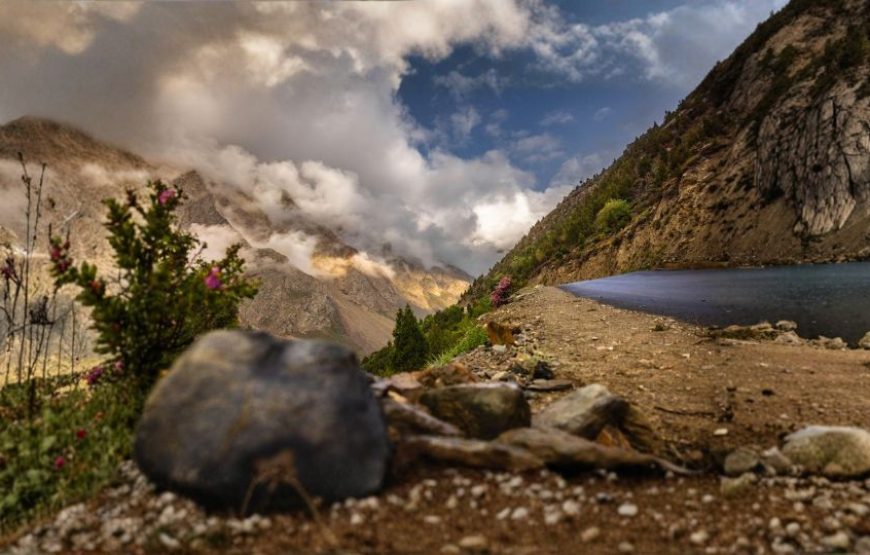 Himachal Dreamland Escape