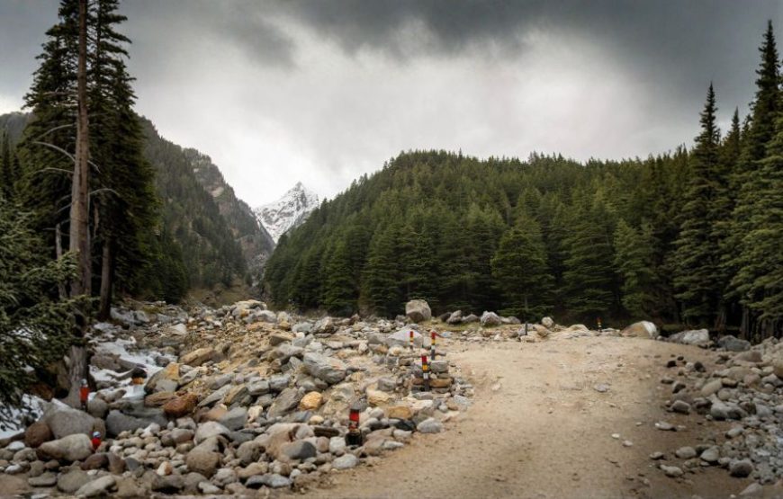 Honeymoon in Himachal Pradesh (6N/7D Tour Package)