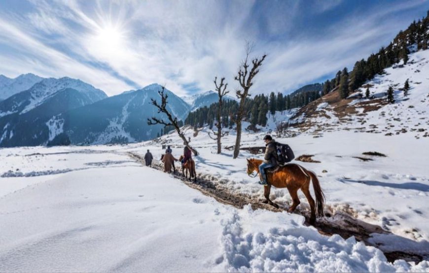 Kashmir Valley Honeymoon Escape