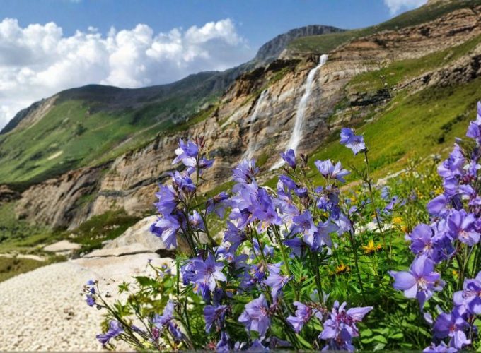 Kashmir Valley Honeymoon Escape