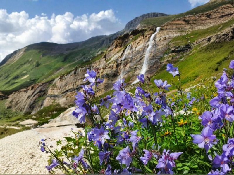 Kashmir Valley Honeymoon Escape