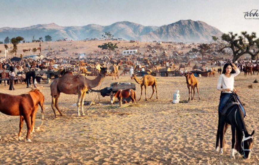 Golden Triangle Tour