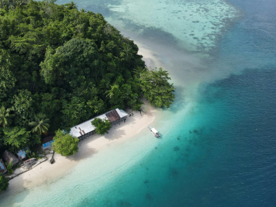 Aerial view of a secluded tropical island beach surrounded by lush rainforest and crystal-clear turquoise waters