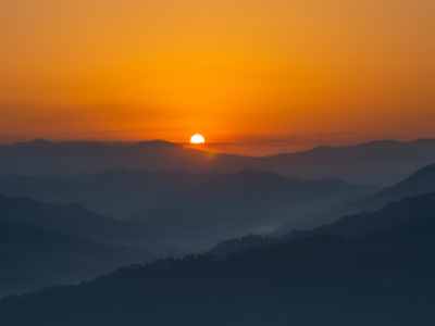 Copy of myTRips WEbsite loc image - 2026-06-13T130313.399