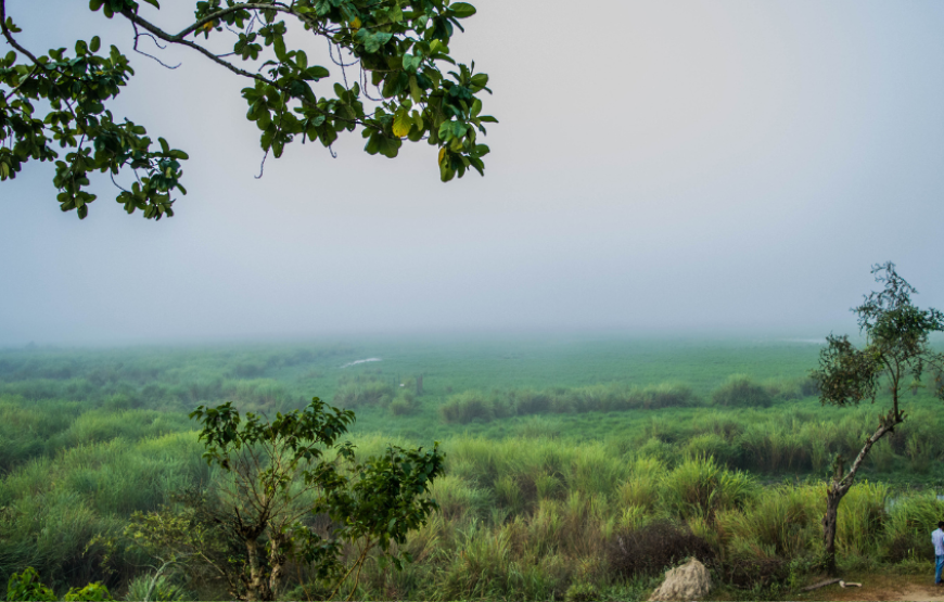 Simply Kaziranga Ex-Guwahati-Assam & Meghalaya