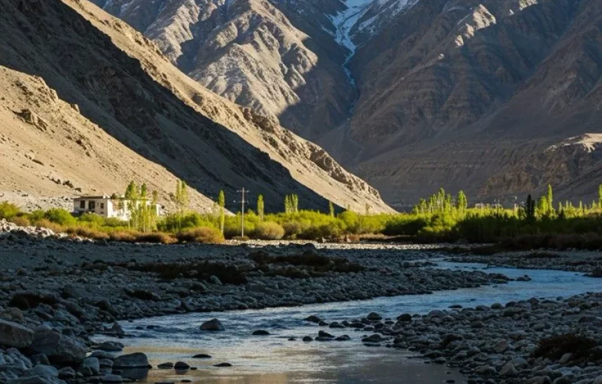 Ladakh Delight