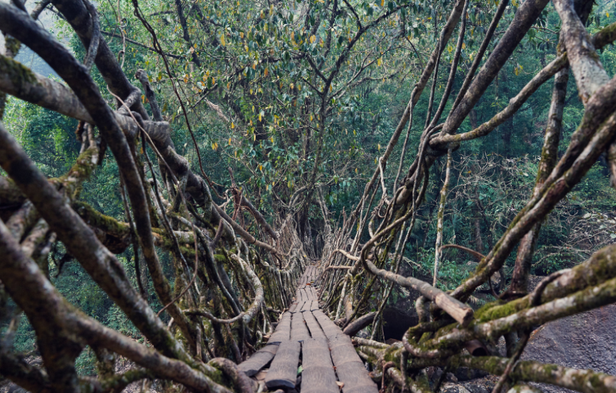 Shillong And Kaziranga Special-Meghalaya