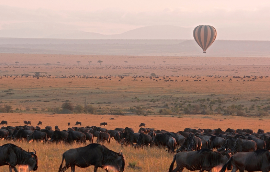 Wonders of Kenya & Tanzania-Tanzania