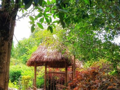 Mawlynnong, Meghalaya_