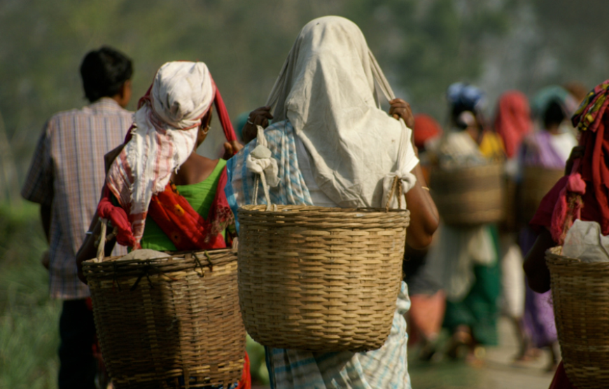 Shillong And Kaziranga Special-Assam & Meghalaya