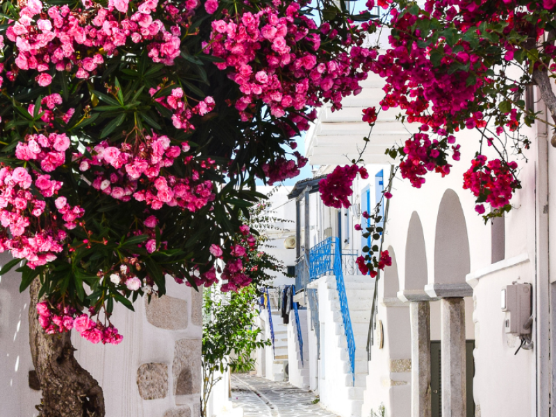 Best of Athens with Santorini-Greece