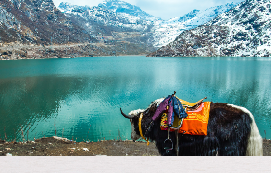 Simply Gangtok-Sikkim