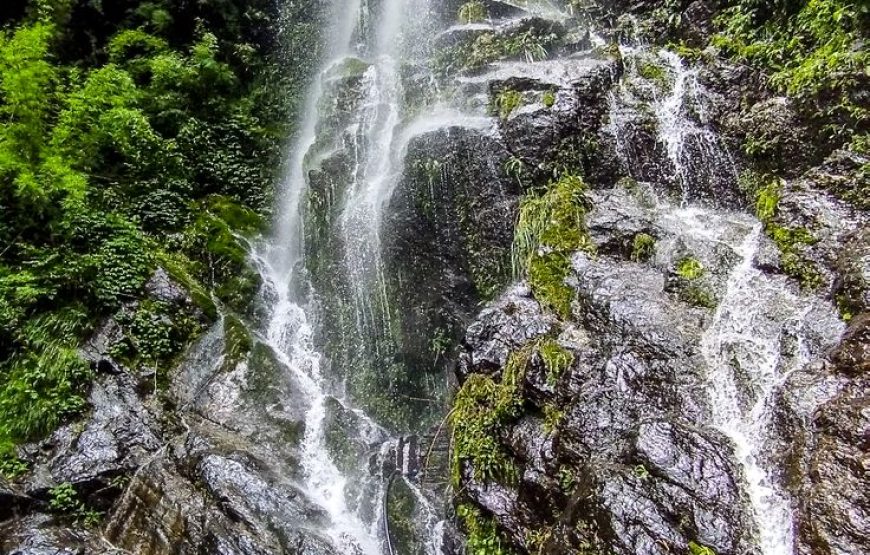 Experience Corbett-Wildlife Tour-Uttarakhand