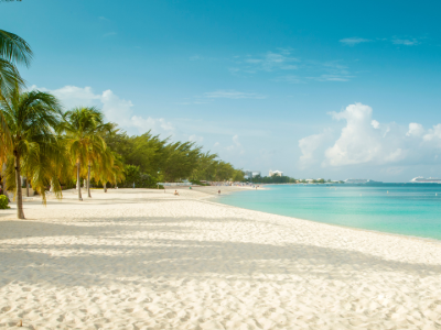 White sandy tropical beach lined with coconut palm trees and crystal-clear turquoise waters