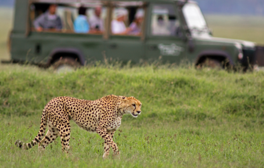 Splendours of South Africa-South Africa