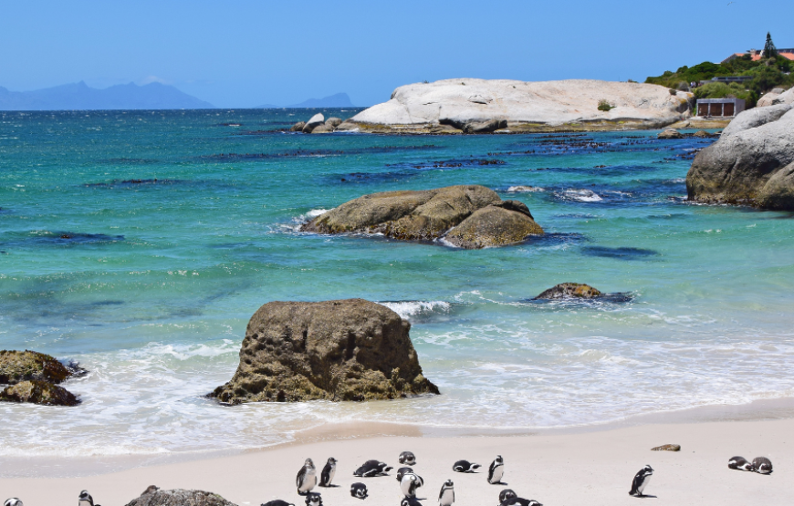 Sensational South Africa with Kruger-South Africa